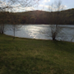 Meet your Posher, Jessie